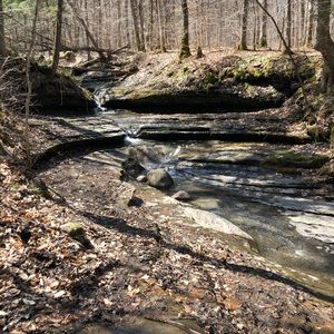 Meet your Posher, Chrissy